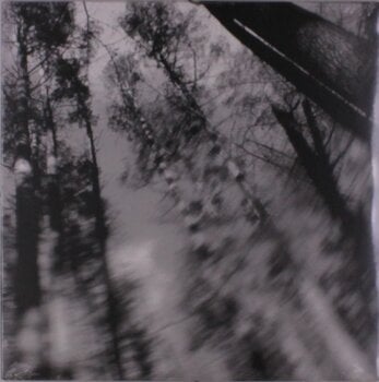 Vinyl Record Loess - Totems (Limited Edition) (LP) - 1