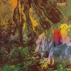 Disco de vinil Wake - Thought Form Descent (Limited Edition) (180 g) (LP)