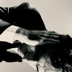 Vinyl Record Andrew Bird - Inside Problems (Clear Coloured) (180 g) (LP)