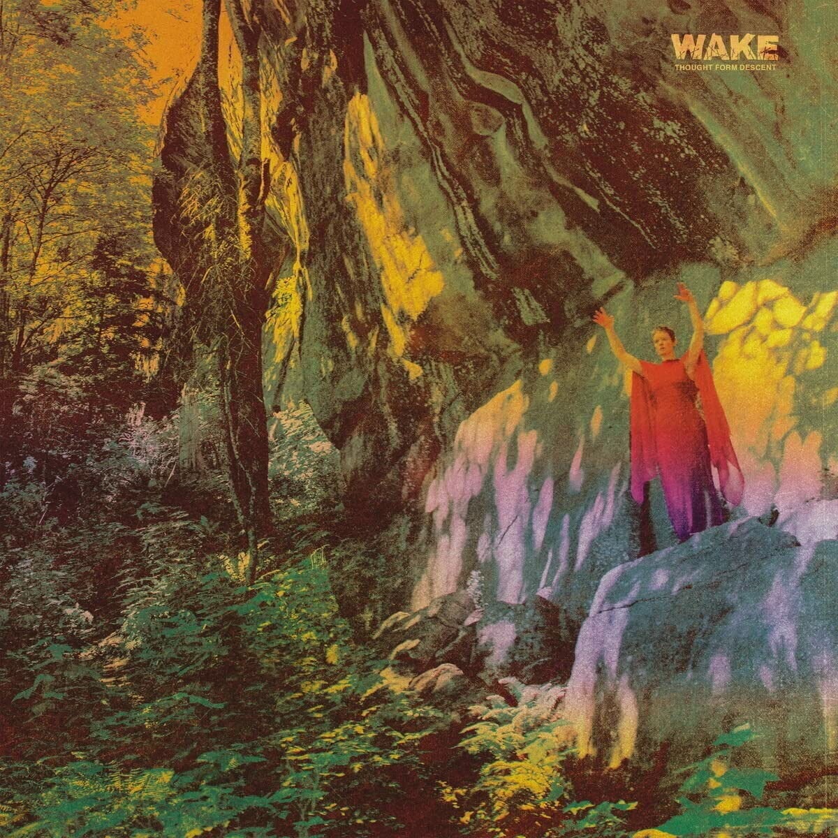 Disco de vinil Wake - Thought Form Descent (Limited Edition) (LP)