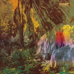Disco de vinil Wake - Thought Form Descent (Limited Edition) (LP)