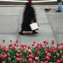 LP ploča Air Waves - The Dance (LP)