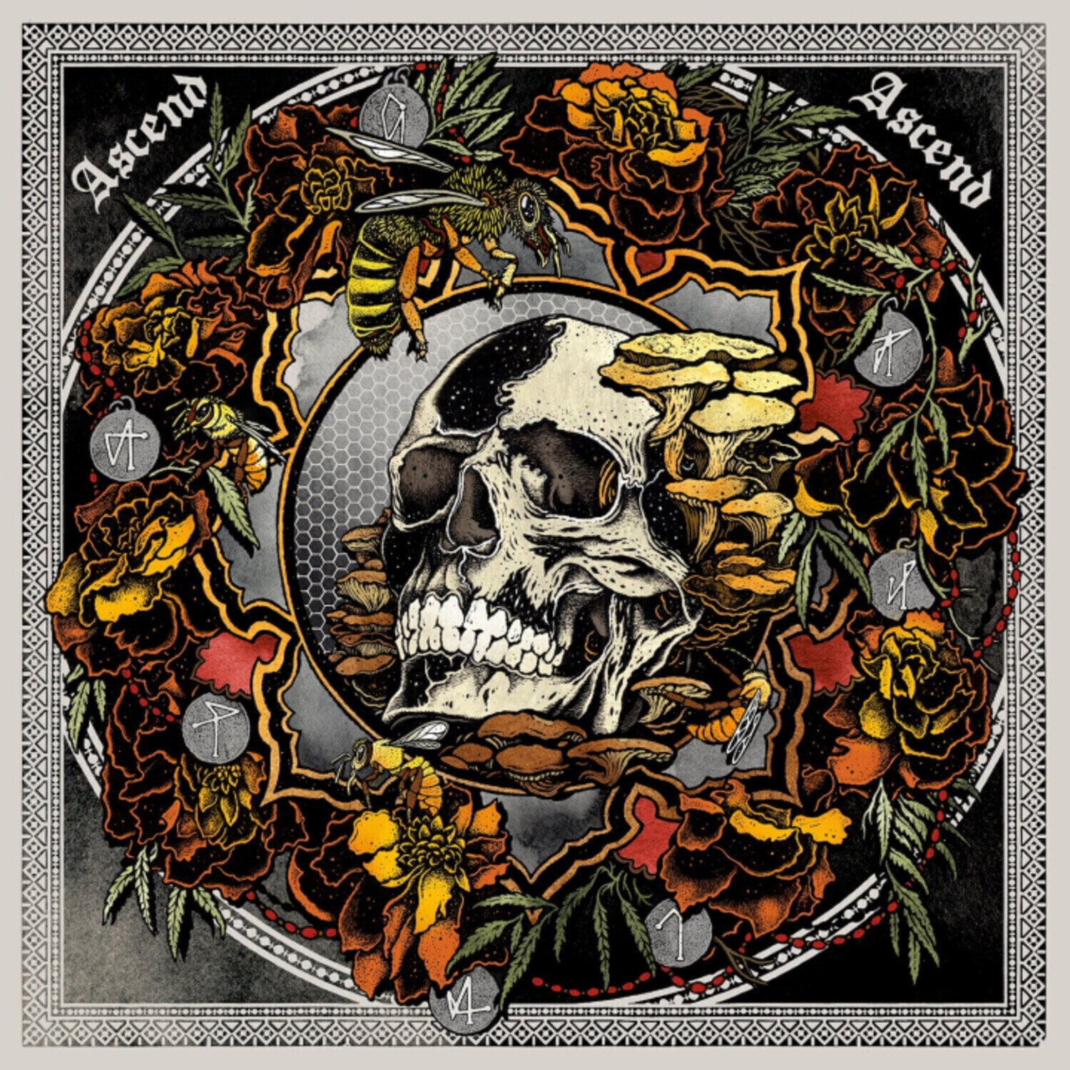 LP ploča Janaka Stucky - Ascend Ascend: Live In Seattle With Lori Goldston (2 LP)