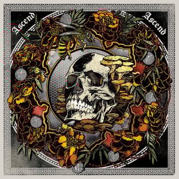 LP ploča Janaka Stucky - Ascend Ascend: Live In Seattle With Lori Goldston (2 LP) - 1