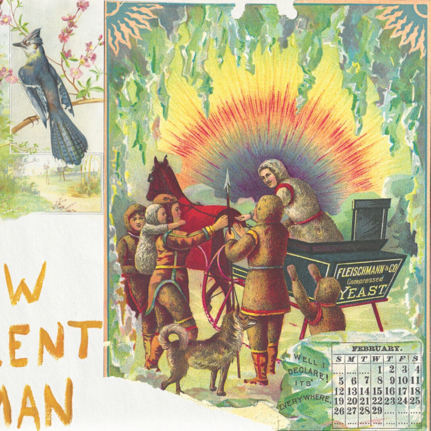 Vinyl Record Asher White - New Excellent Woman (LP)