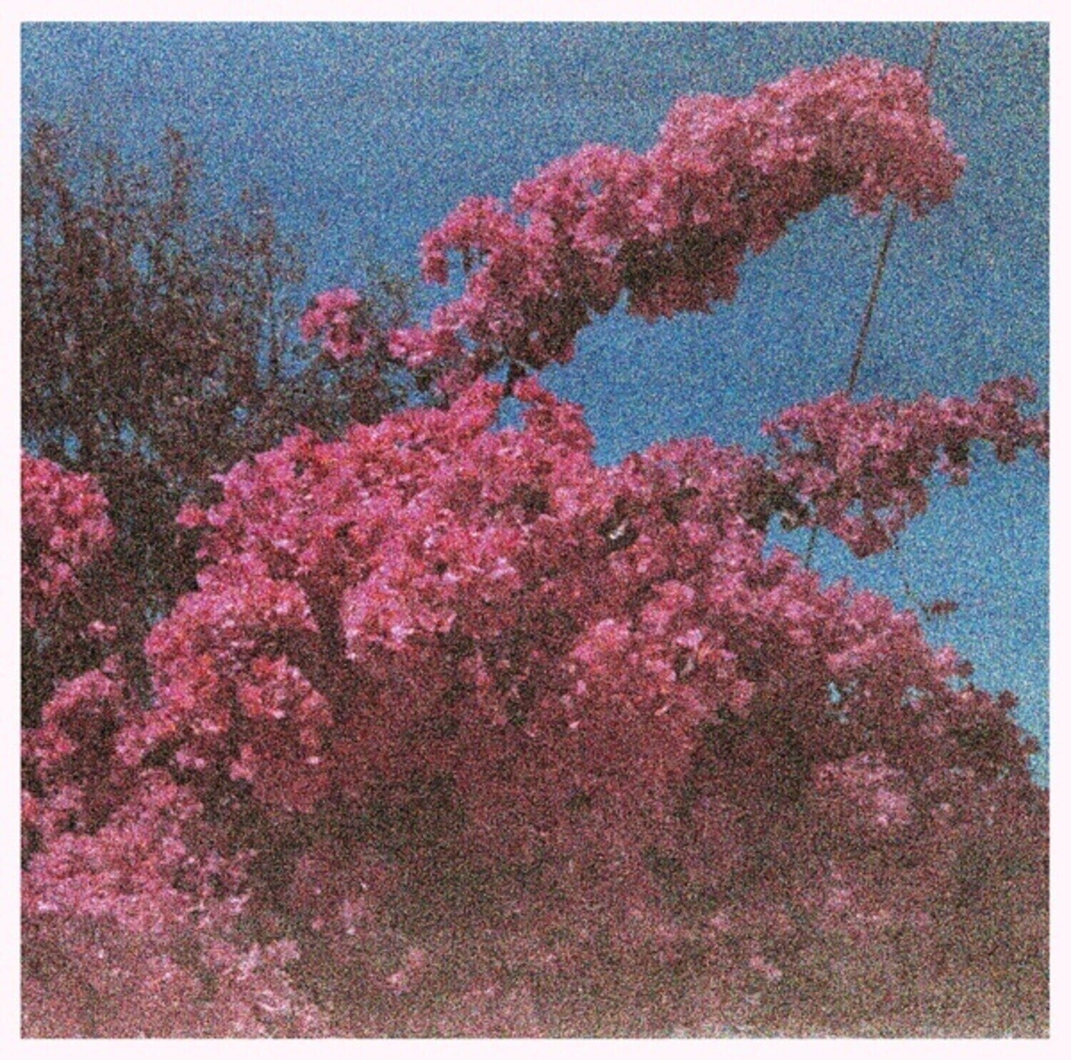 Disco de vinil Elisabeth Klinck - Picture A Frame (LP)