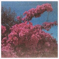 Disco de vinil Elisabeth Klinck - Picture A Frame (LP)