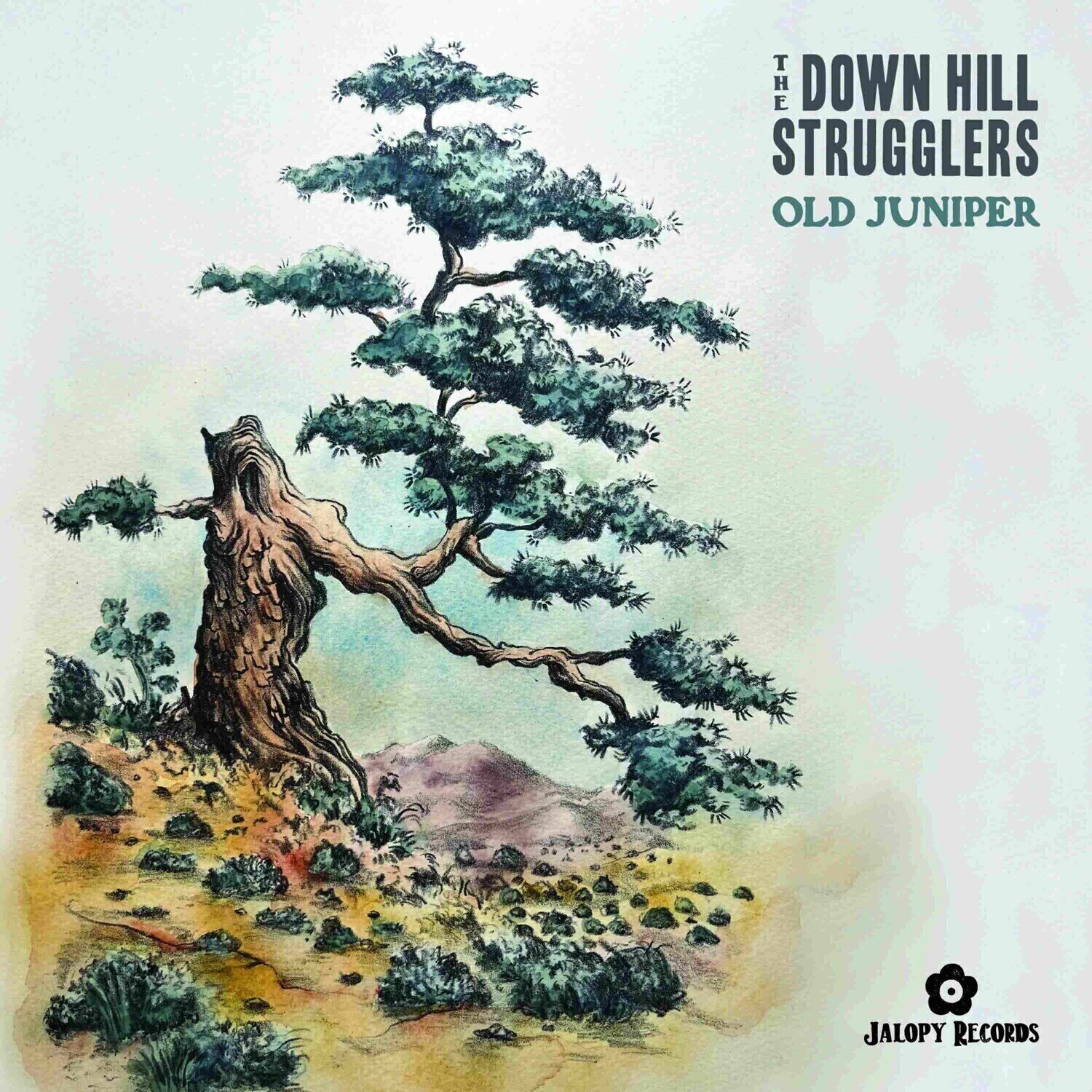Disque vinyle The Down Hill Strugglers - Old Juniper (LP)
