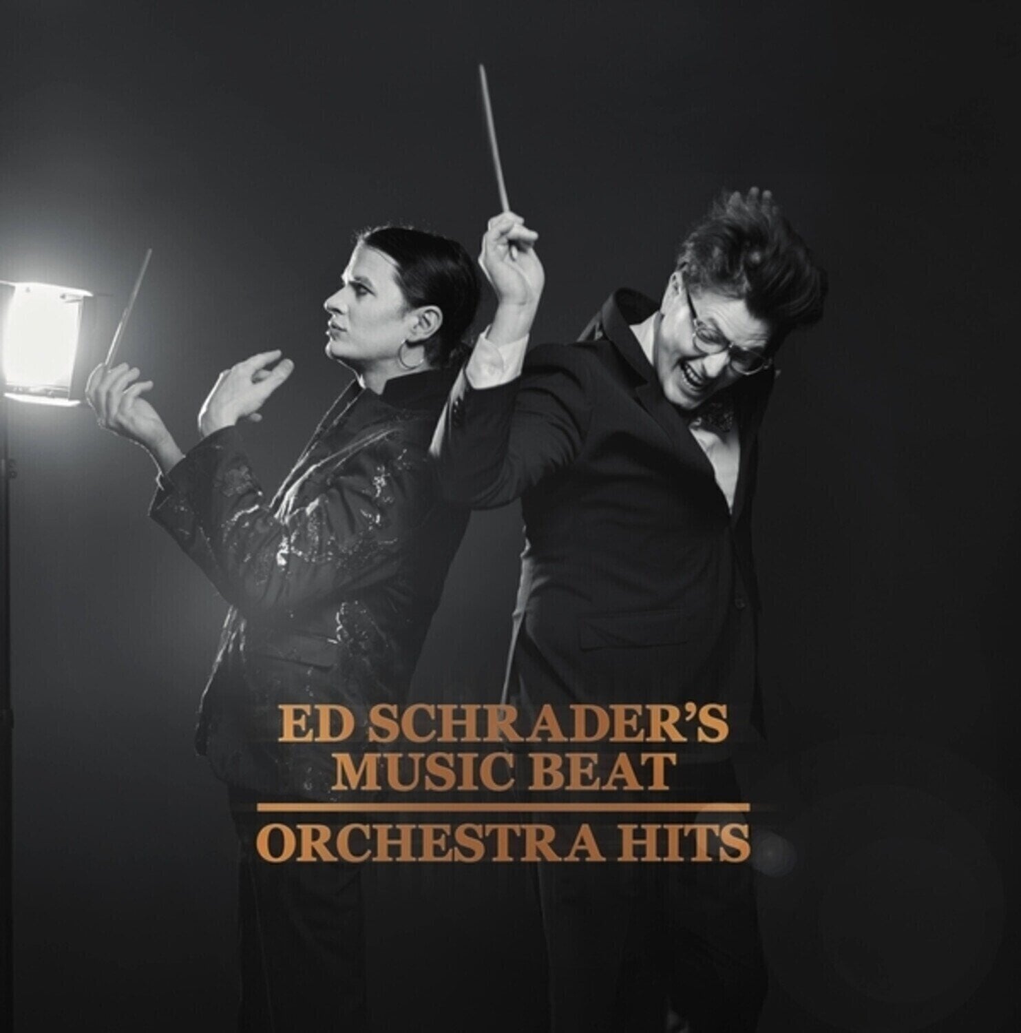 Vinyl Record Ed Schrader's Music Beat - Orchestra Hits (LP)