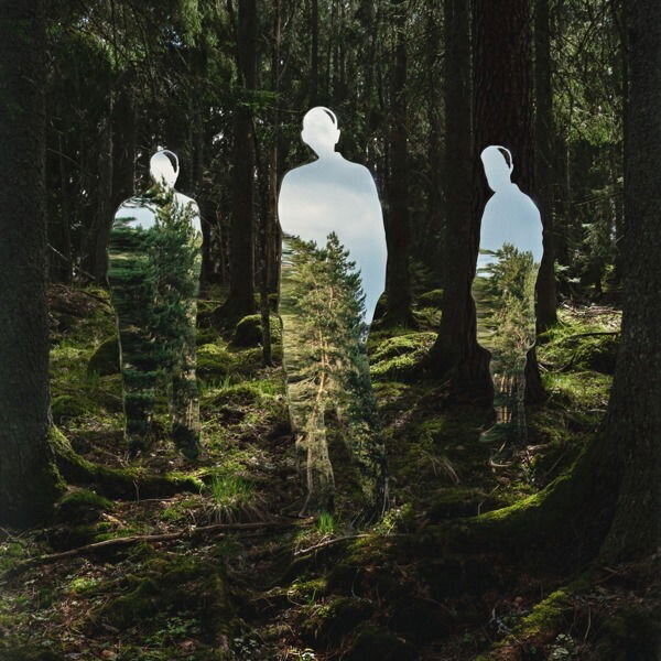 LP platňa Johannes Brecht Trio - Disparaître (LP)