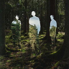 LP platňa Johannes Brecht Trio - Disparaître (LP)