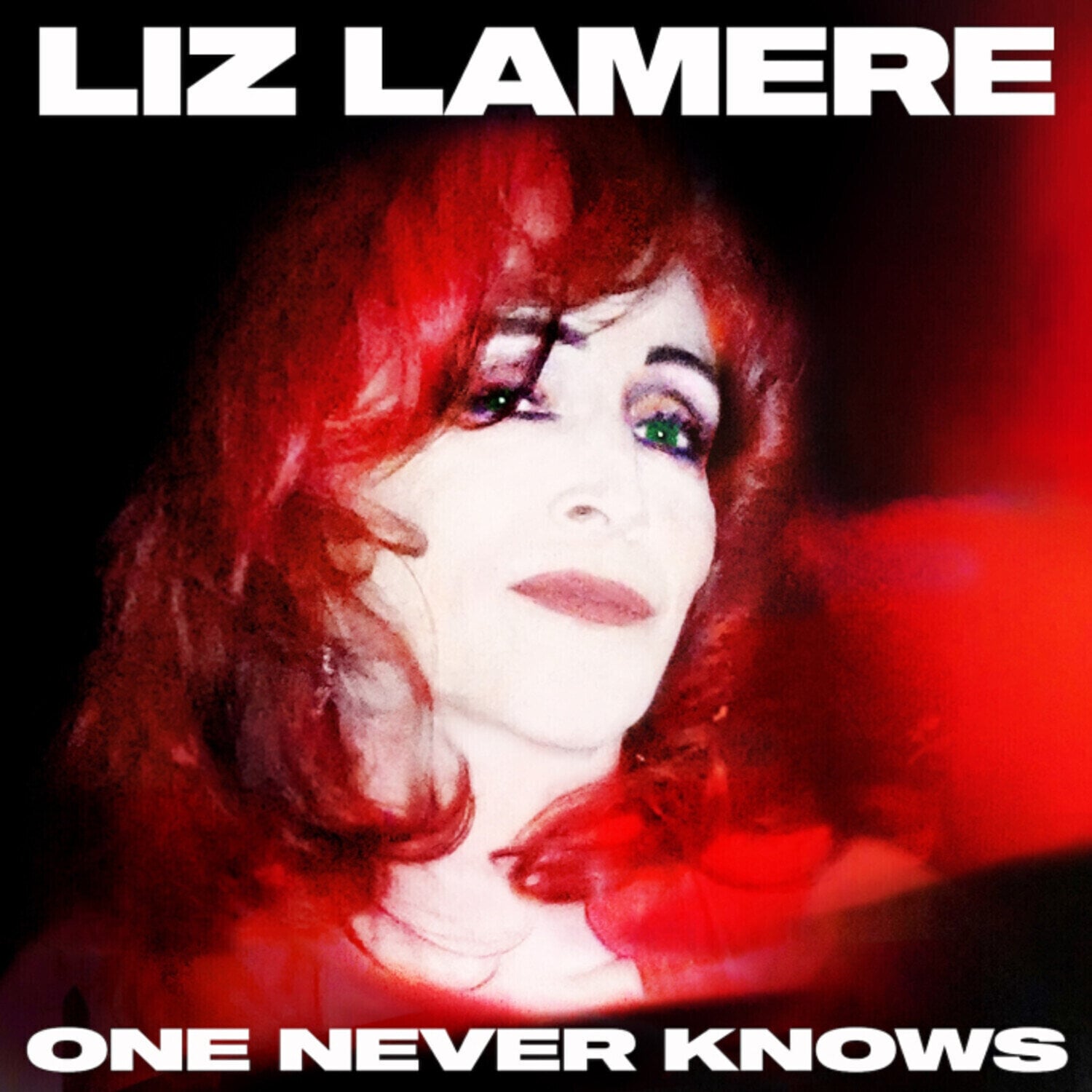 LP deska Liz Lamere - One Never Knows (LP)