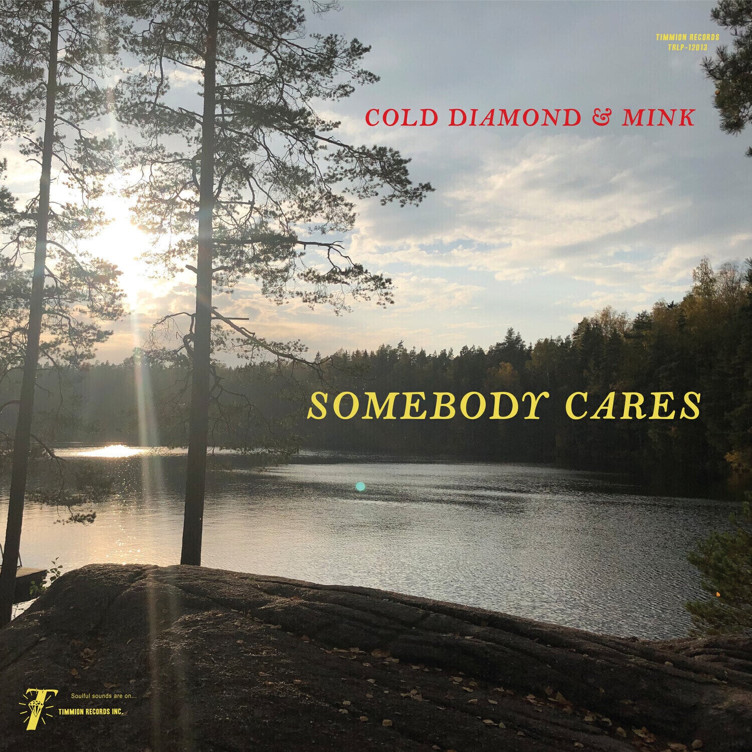 LP ploča Cold Diamond & Mink - Somebody Cares (LP)