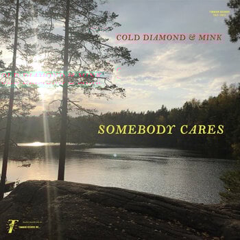 LP ploča Cold Diamond & Mink - Somebody Cares (Instrumental Version) (Transparent Green Coloured) (LP) - 1