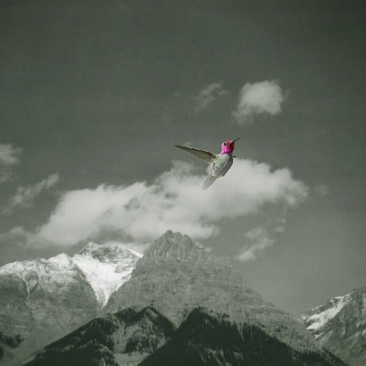 Vinyl Record Bardo Pond - Melt Away (2 LP)