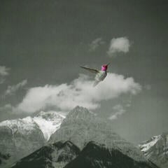 Vinyl Record Bardo Pond - Melt Away (2 LP)