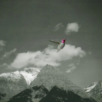 Vinyl Record Bardo Pond - Melt Away (2 LP) - 1