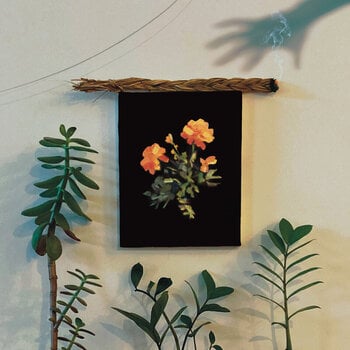 Vinyl Record Why? - The Well I Fell Into (Limited Edition) (Coloured) (LP) - 1