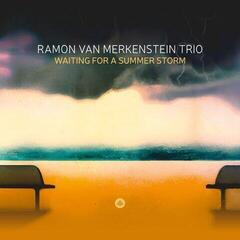 Vinyl Record Ramon van Merkenstein Trio - Waiting For A Summer Storm (LP)