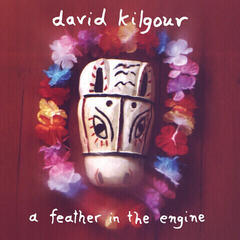 LP deska David Kilgour - A Feather In The Engine (Reissue) (LP)