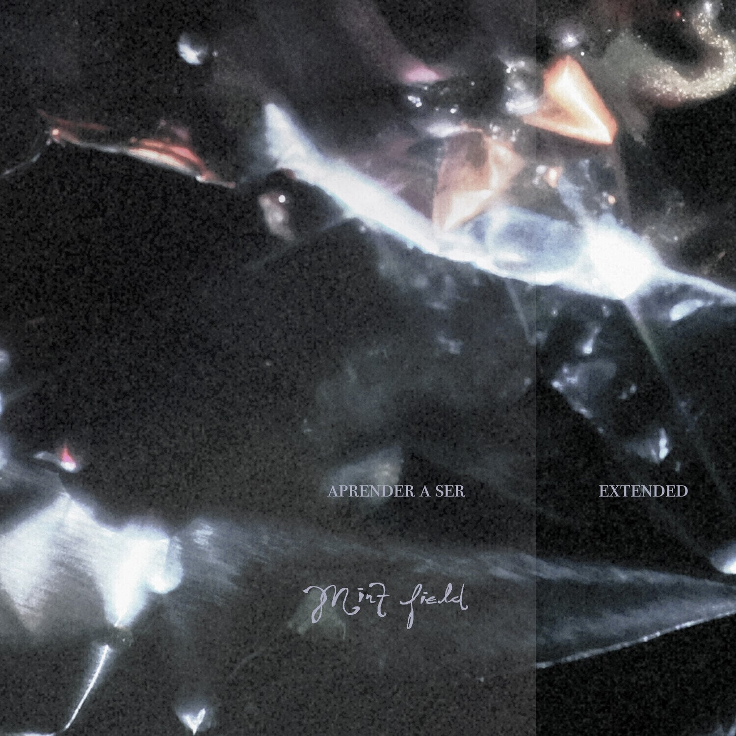 Vinyl Record Mint Field - Aprender A Ser Extended (Limited Edition) (Milky Clear Coloured) (LP)