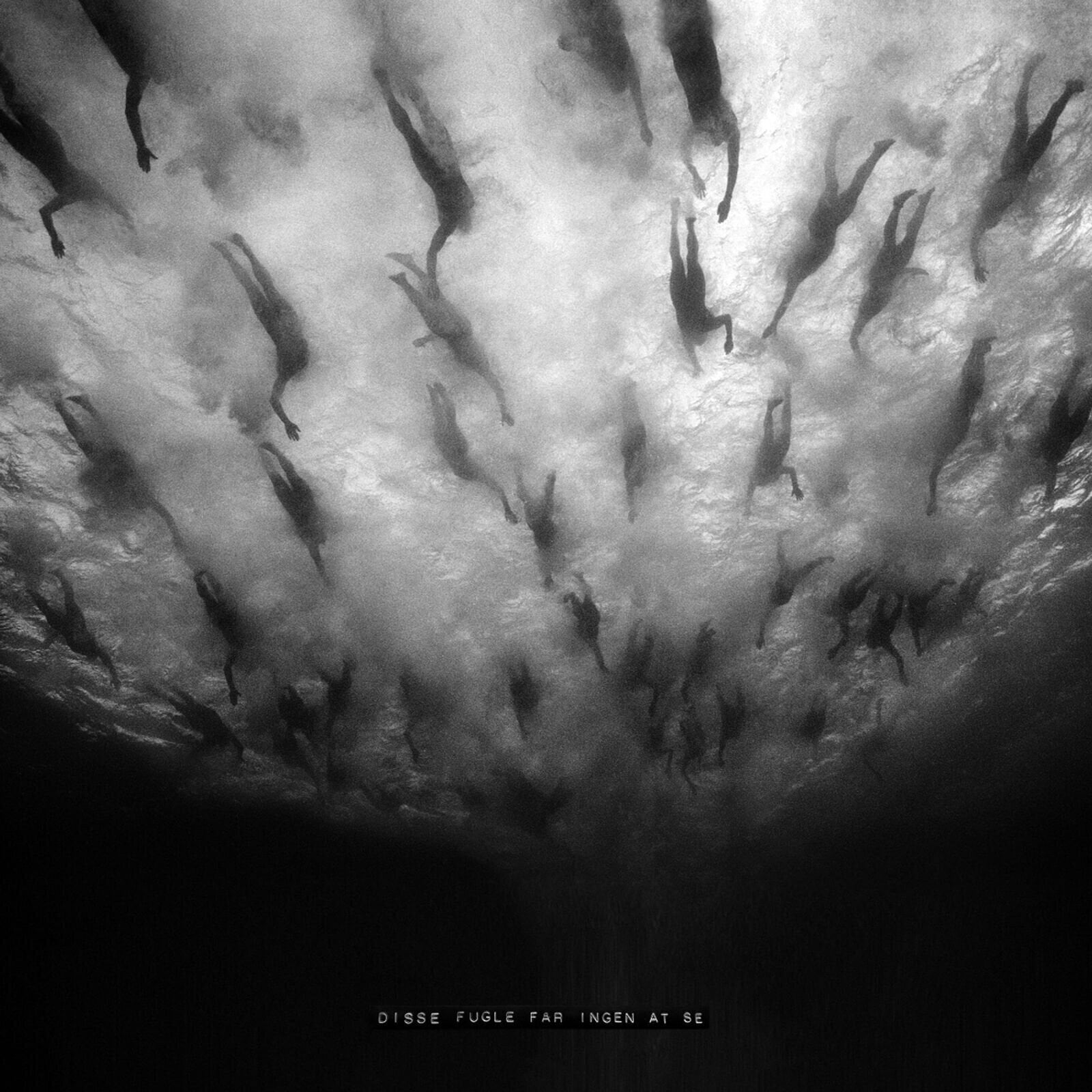 Vinyl Record Morild - Disse Fugle Får Ingen At Se (LP)