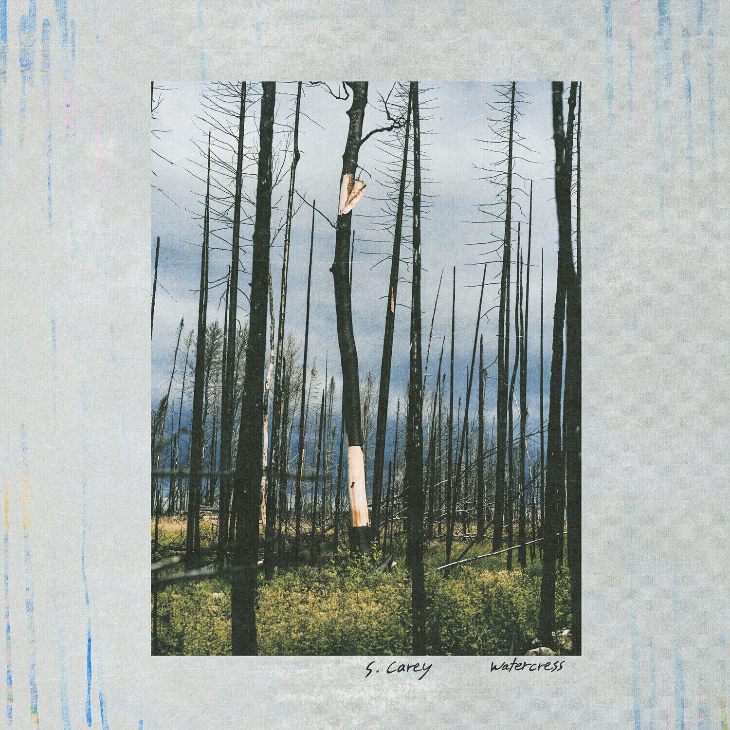 Грамофонна плоча S. Carey - Watercress (EP)