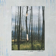 Грамофонна плоча S. Carey - Watercress (EP)