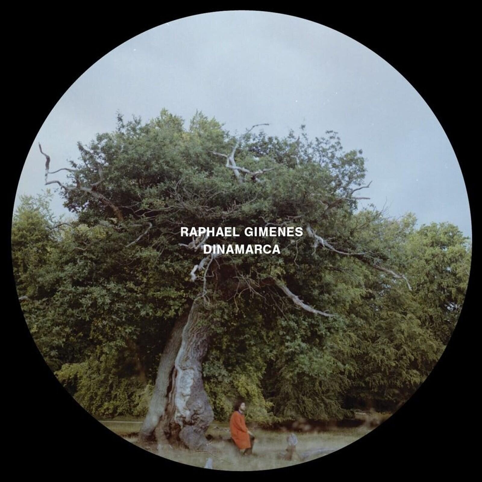 Disc de vinil Raphael Gimenes - Dinamarca (2 LP)