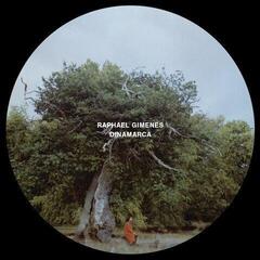 Disc de vinil Raphael Gimenes - Dinamarca (2 LP)