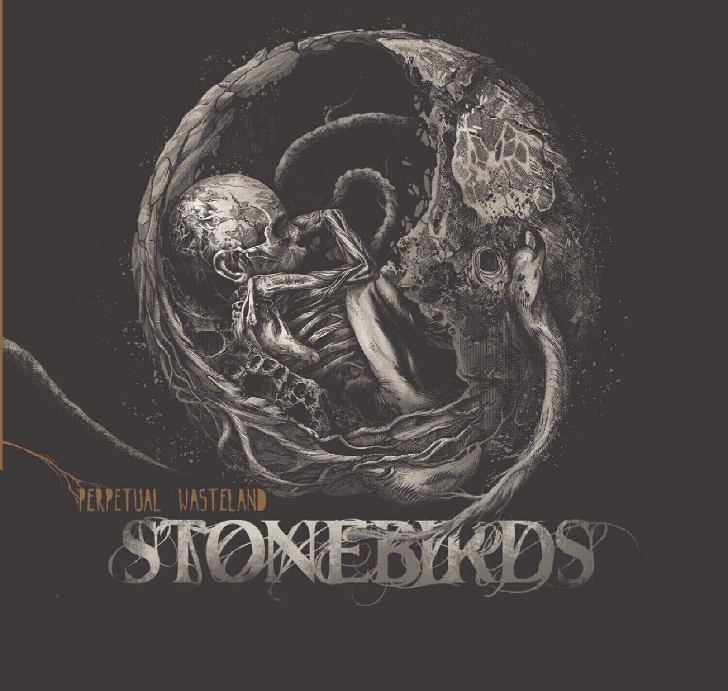 LP ploča Stonebirds - Perpetual Wasteland (LP)