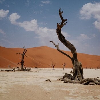 LP plošča Nyos - Growl (LP) - 1