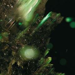 LP ploča Abraham - Idsungwüssä (2 LP)