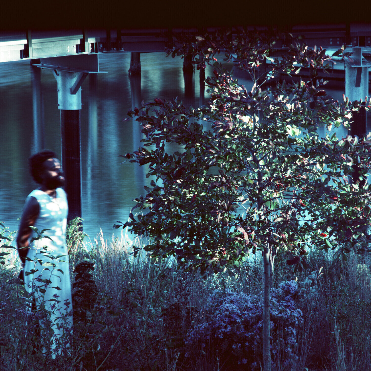 LP platňa Jjjjjerome Ellis - Vesper Sparrow (LP)