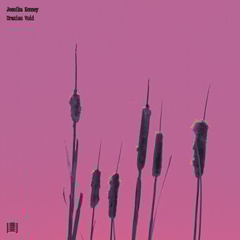Vinylplate Jessika Kenney - Uranian Void (LP) - 1