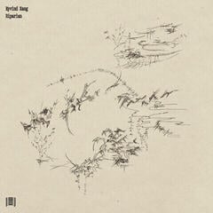 Δίσκος LP Eyvind Kang - Riparian (LP)