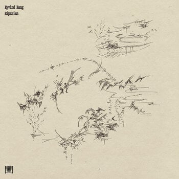 Disque vinyle Eyvind Kang - Riparian (LP) - 1