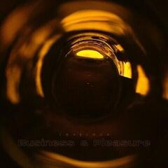 Disco de vinil Lovelock - Business And Pleasure (LP)