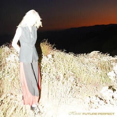 Disco de vinil Hirons - Future Perfect (LP)