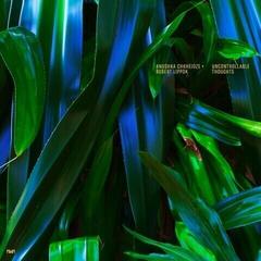 Грамофонна плоча Anushka Chkheidze & Robert Lippok - Uncontrollable Thoughts (LP)