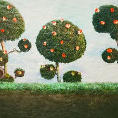 Vinilinė plokštelė Midnight Sister - Painting The Roses (LP)