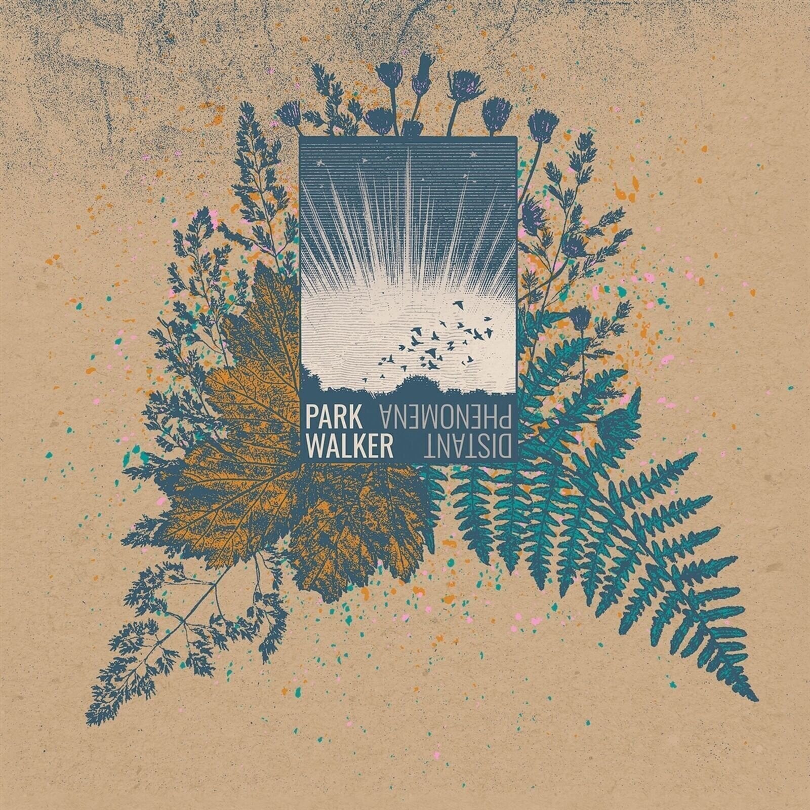 Vinilinė plokštelė Park Walker - Distant Phenomena (LP)