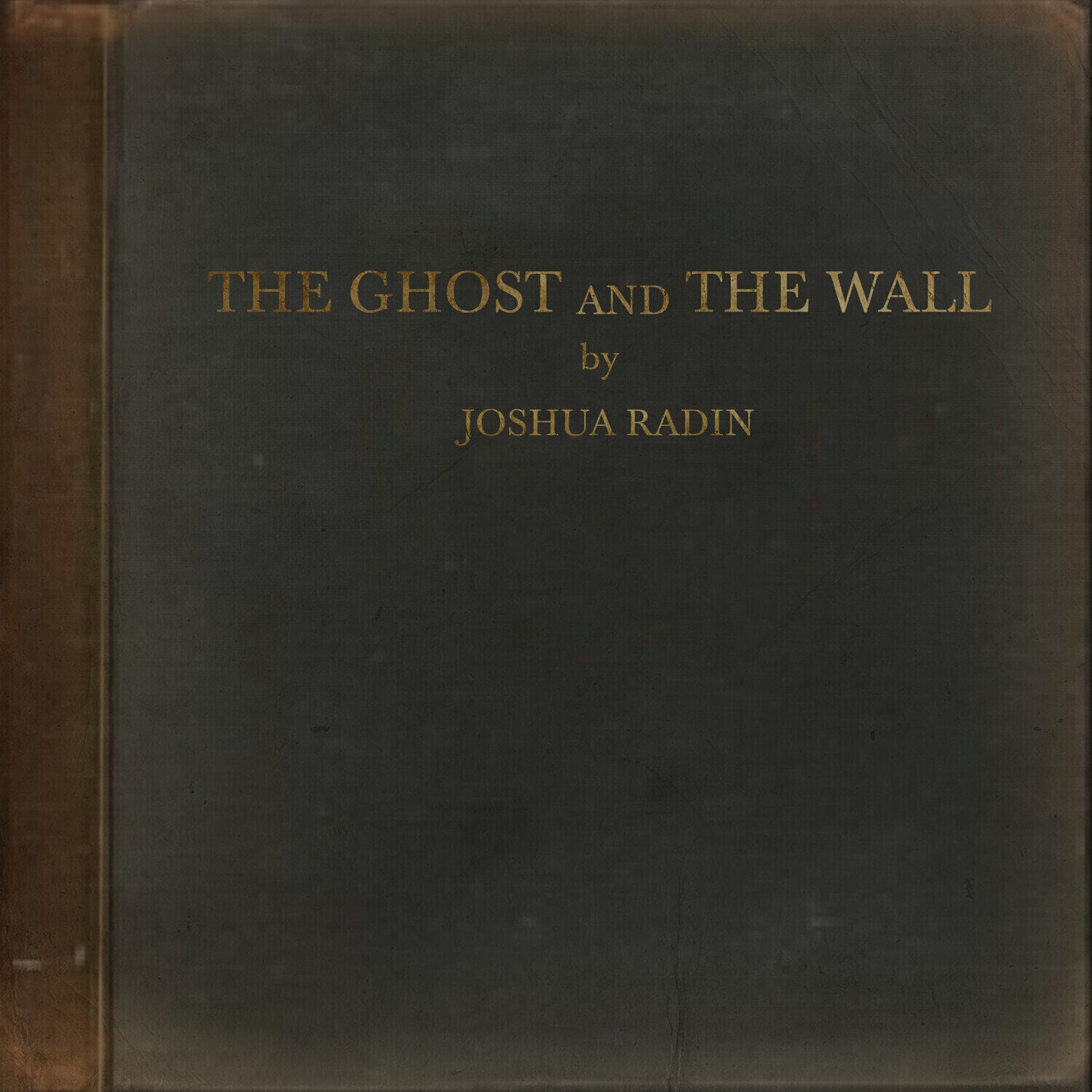 LP ploča Joshua Radin - The Ghost And The Wall (LP)