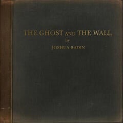 LP ploča Joshua Radin - The Ghost And The Wall (LP)