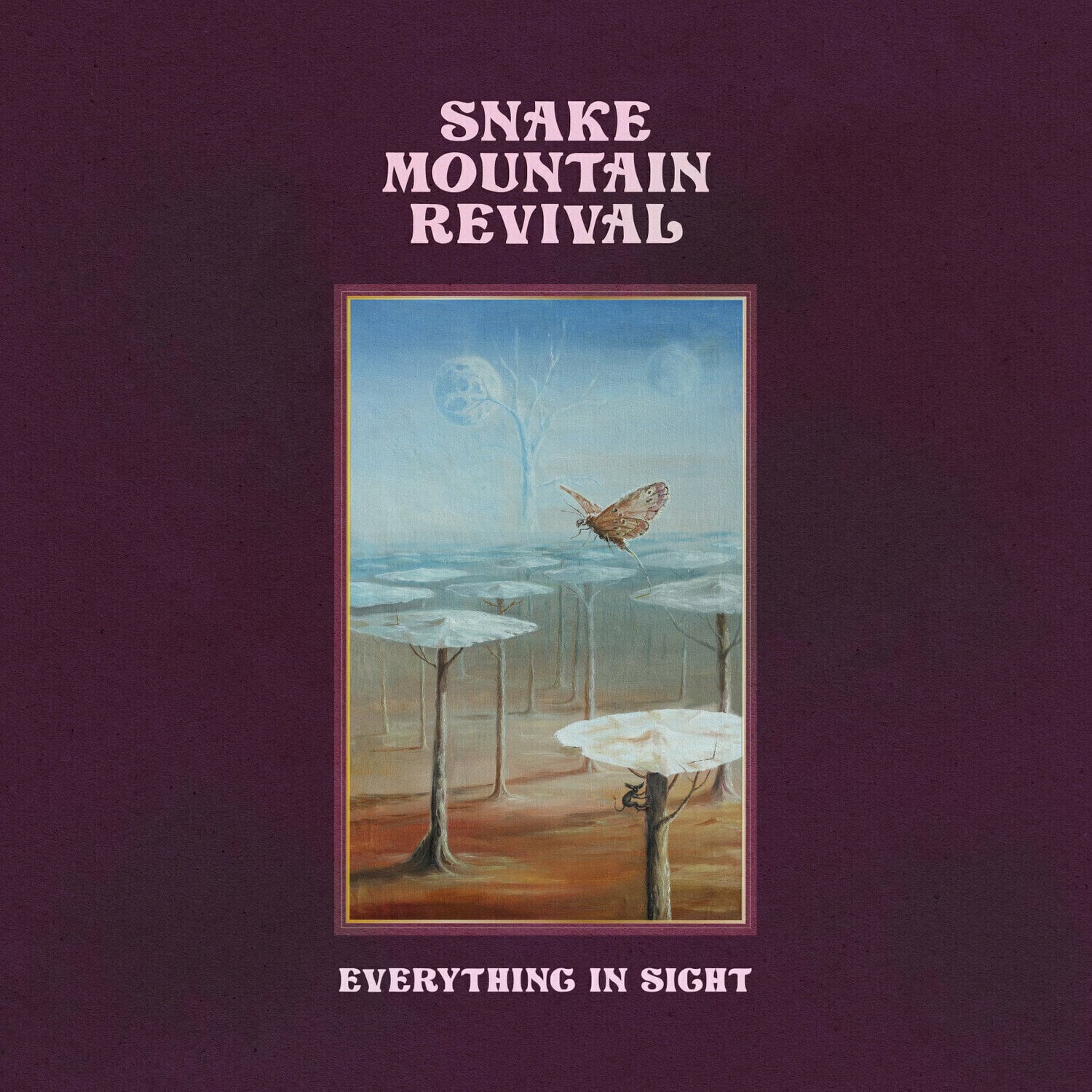 Disque vinyle Snake Mountain Revival - Everything In Sight (LP)
