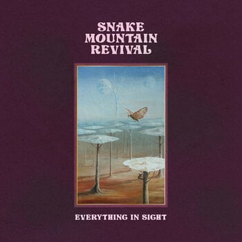 Disque vinyle Snake Mountain Revival - Everything In Sight (LP) - 1