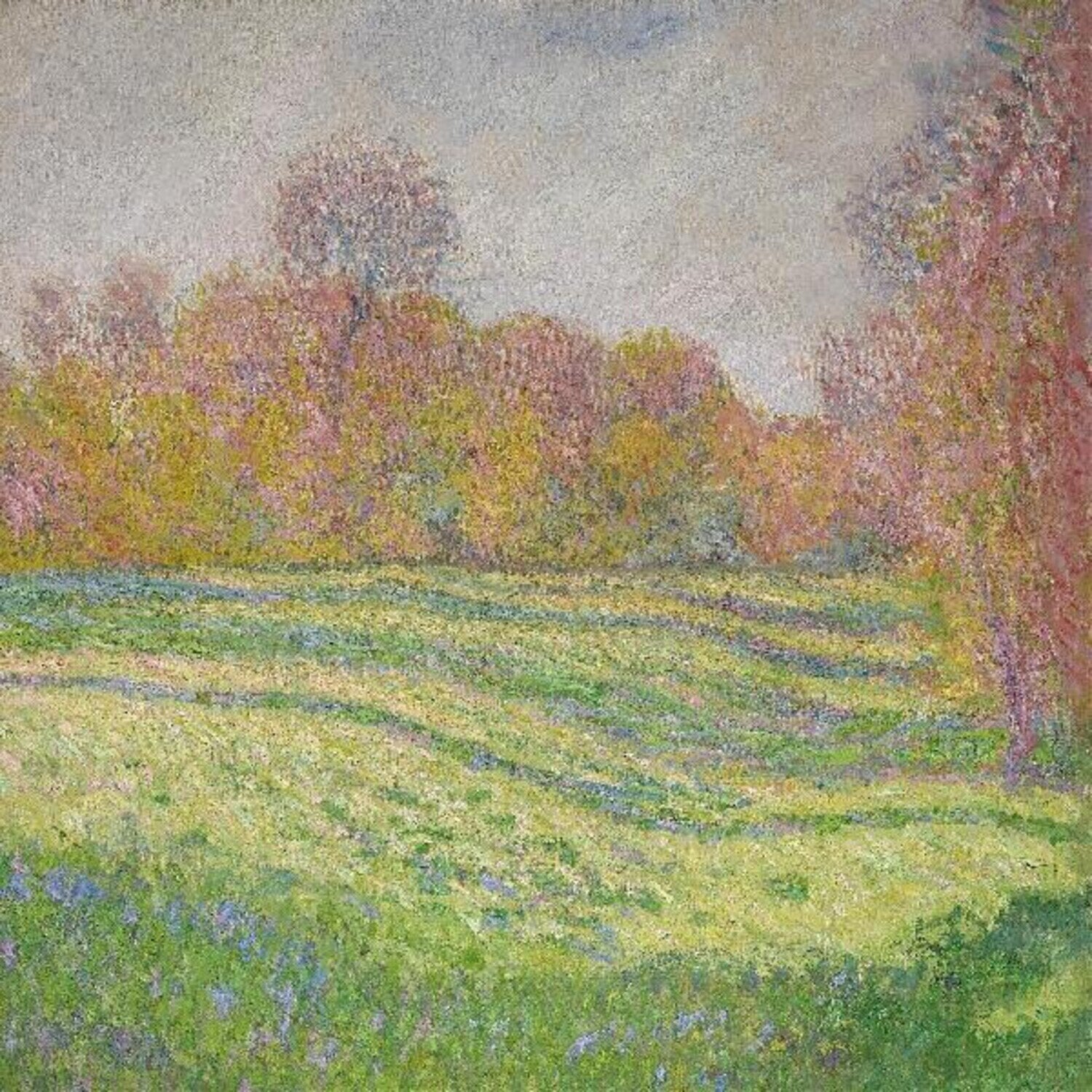 Vinylplate Strawberry Guy - Sun Outside My Window (Reissue) (Baby Blue Coloured) (180 g) (LP)