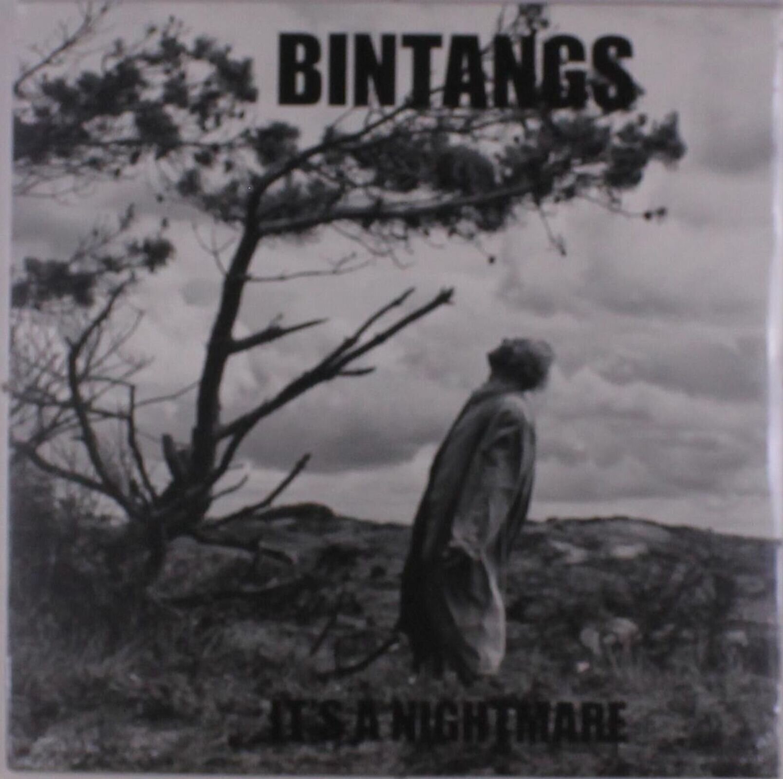 Vinylplate Bintangs - It's A Nightmare (180 g) (LP)