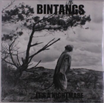 Vinylplate Bintangs - It's A Nightmare (180 g) (LP) - 1