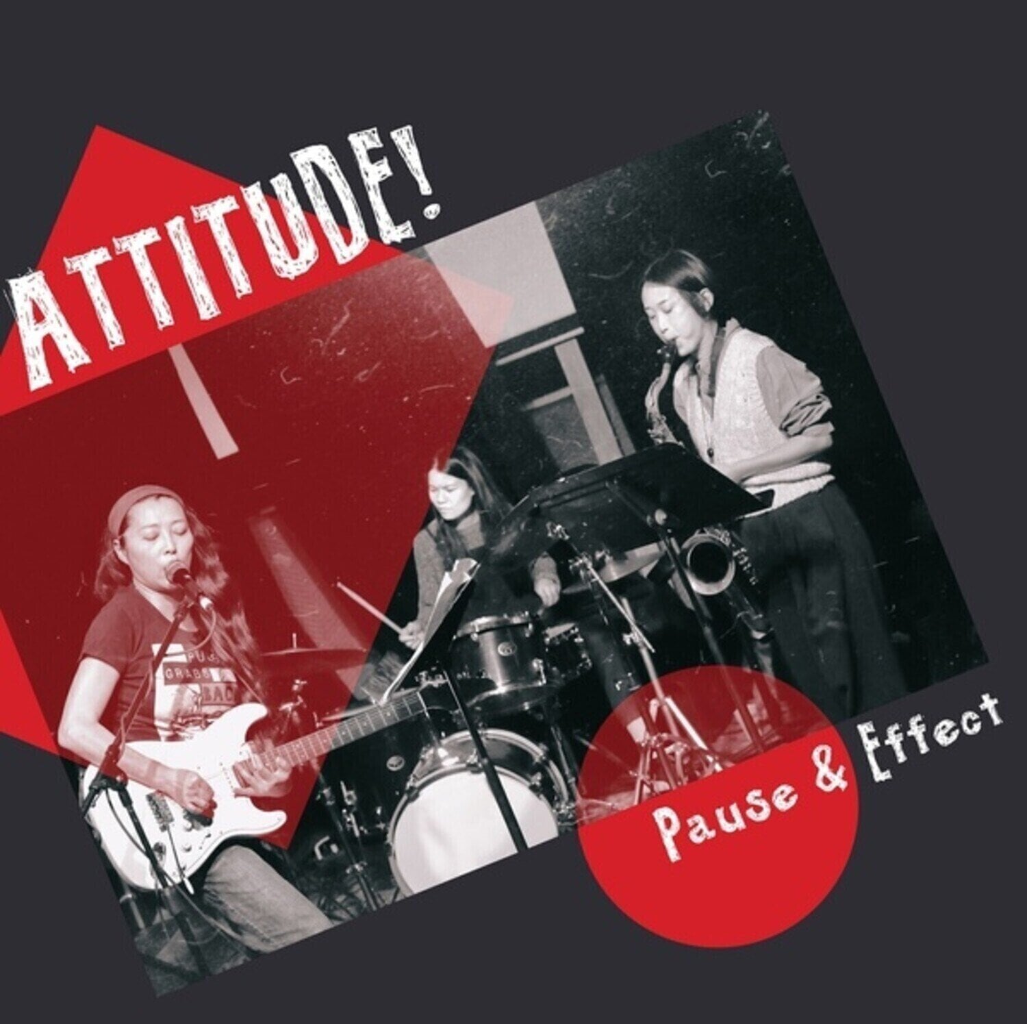 Vinylplate Attitude! - Pause & Effect (LP)